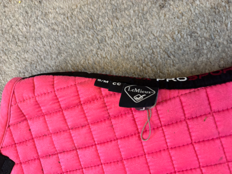 LeMieux Watermelon Suede Close Contact Square