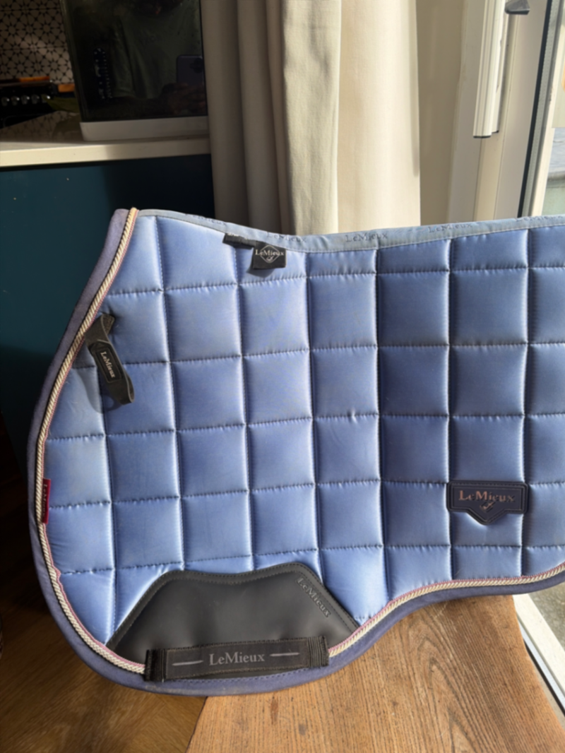 Powder blue s/m GP saddle pad