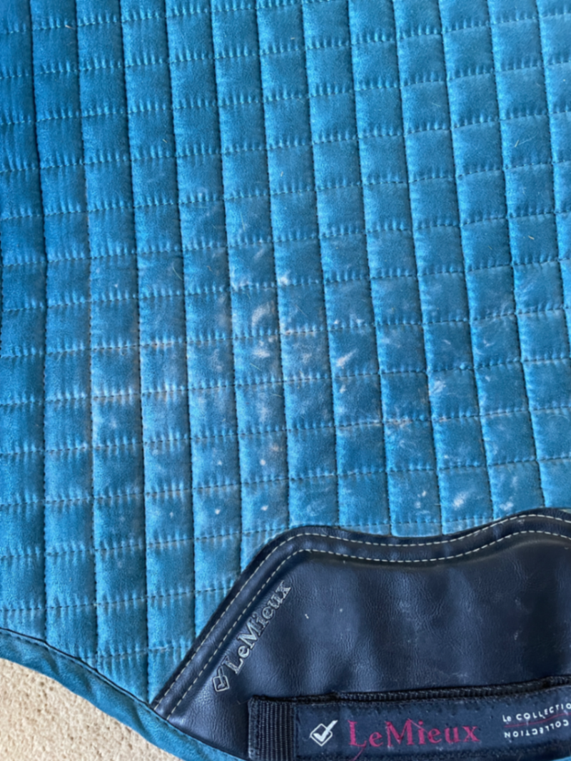 LeMieux Marine Suede GP Saddle Pad