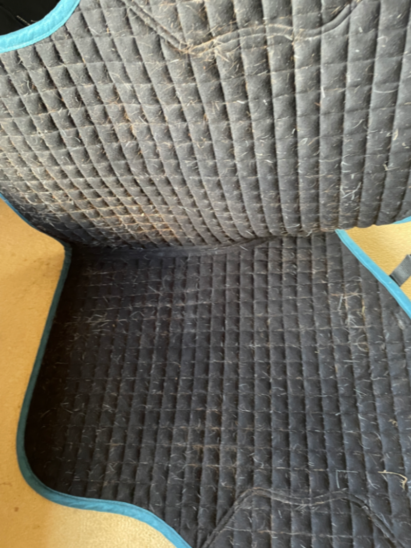 LeMieux Marine Suede GP Saddle Pad