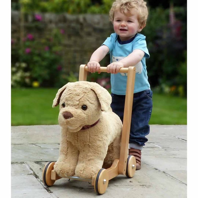 Little Bird Told Me - Push-Along Dog - Dexter (12m+)