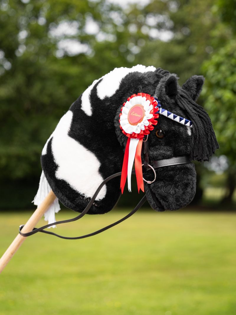 Hobby Horse Rosette Pack Multi One Size